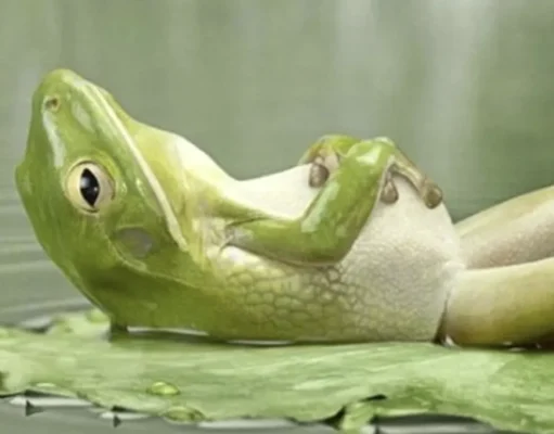 The Science of Rest That Most People Ignore