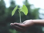 Why Your “Eco-Friendly” Habits Might Not Be Working